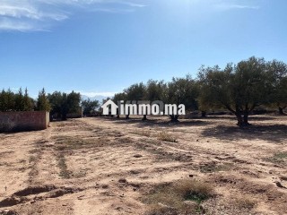 vente-terrain-nu-de-1000-m2-a-marrakech
