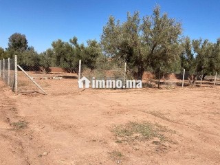 Vente Terrain nu de 1000 m2 à Marrakech - Terrain à vendre - Marrakech