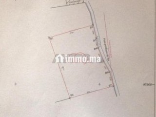 Vente Terrain nu de 1000 m2 à Marrakech - Terrain à vendre - Marrakech