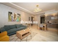 racine-location-appartement-meuble-1-ch-terrasse-small-4