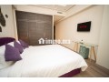 racine-location-appartement-meuble-1-ch-terrasse-small-5