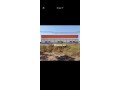terrains-a-vendre-small-3