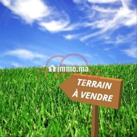 Vente Terrain nu de 11900 m2 à Marrakech - Vente Immobilier - Marrakech - photo 1