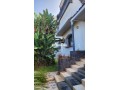 fyla-llbyaa-bmdyn-alrbat-hy-alshbanat-small-0