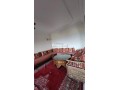 fyla-llbyaa-bmdyn-alrbat-hy-alshbanat-small-5