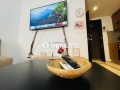 appart-parfaitement-bien-rangee-small-5