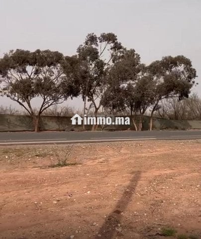 ارض تارودانت - Vente Immobilier - Marrakech - photo 1