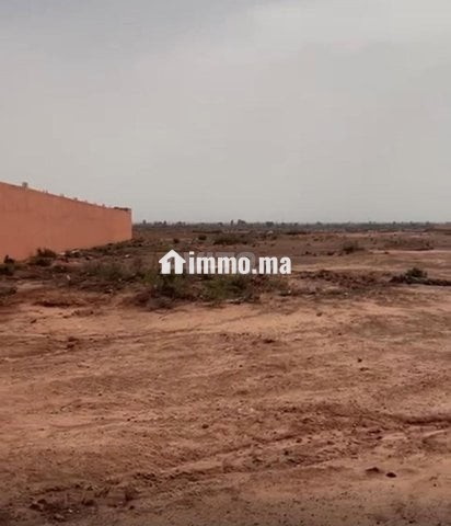 ارض تارودانت - Vente Immobilier - Marrakech - photo 2