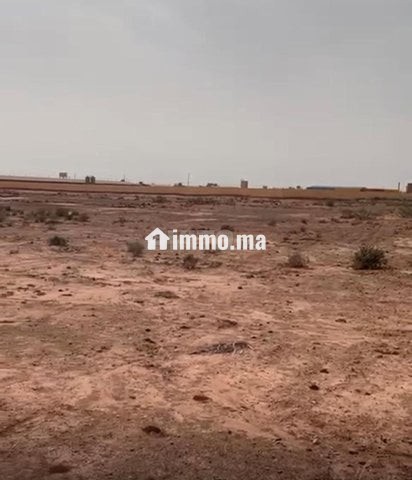 ارض تارودانت - Vente Immobilier - Marrakech - photo 4