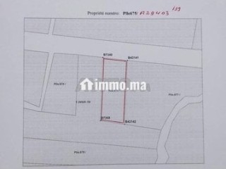 ارض تارودانت - Terrain à vendre - Marrakech