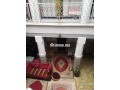 riad-titre-proche-des-sites-historiques-a-vendre-small-2