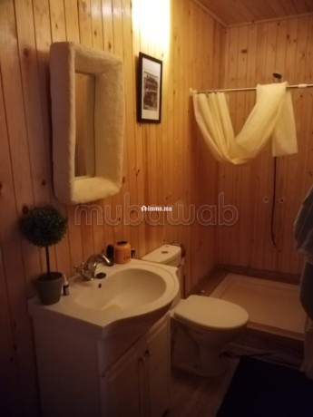 chalet-bien-equipe-a-vendre-big-4