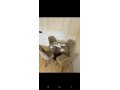 appartement-de-lux-agadir-bay-avec-piscine-small-2
