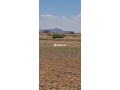 terrain-titre-5h4000m-km-9-a-marrakech-small-3