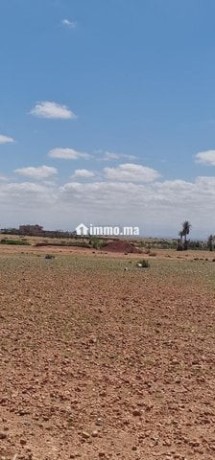 terrain-titre-5h4000m-km-9-a-marrakech-big-4