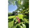 villa-moderne-a-vendre-a-argan-golf-small-4