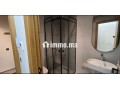 magnifique-studio-aux-princesses-avec-terasse-small-3