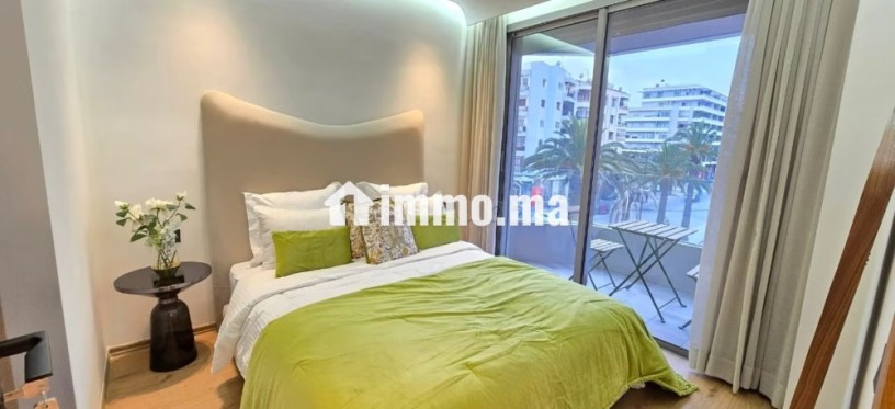 magnifique-studio-aux-princesses-avec-terasse-big-0