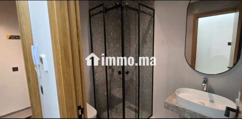magnifique-studio-aux-princesses-avec-terasse-big-3