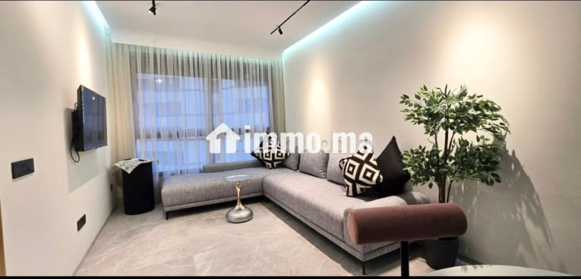 magnifique-studio-aux-princesses-avec-terasse-big-4