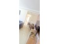 appartement-vacance-dina-small-11