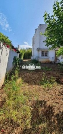 41461-vente-villa-a-sale-bettana-de-433-m2-big-9