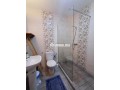 appartement-meuble-pour-les-vacances-small-12