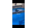 villa-a-louer-small-5
