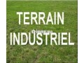 terrain-1100m-r4-industriel-sidi-maarouf-small-0