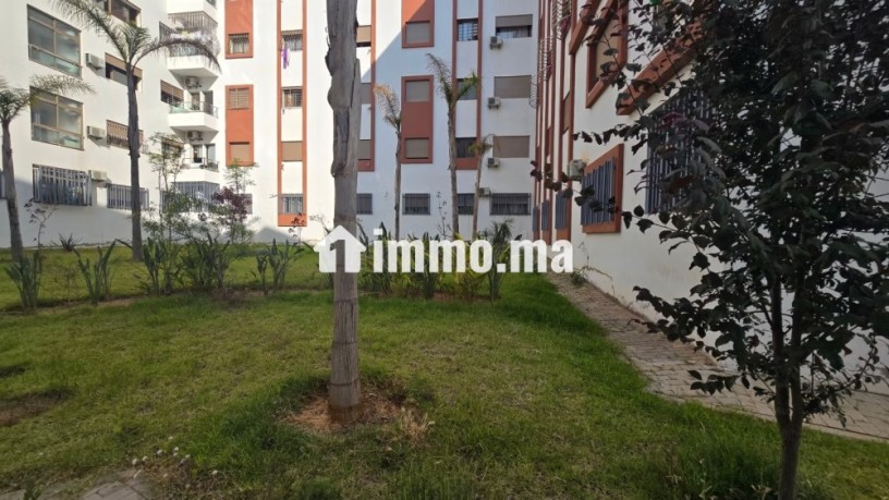 appartement-a-louer-a-sala-el-jadida-big-10