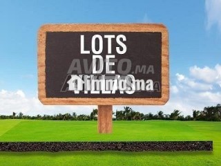 lots-de-villas-de-330-a-550-m2-a-sala-al-jadida