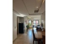 location-appart-meublee-a-gauthier-avec-terrasse-small-0