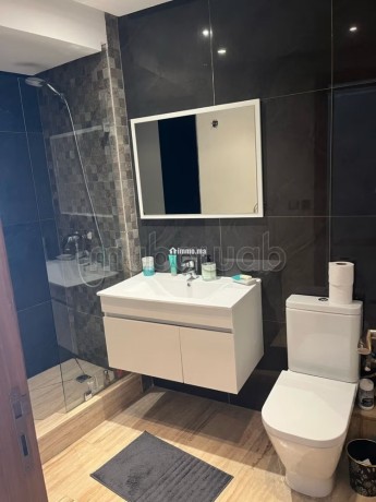 location-appart-meublee-a-gauthier-avec-terrasse-big-4