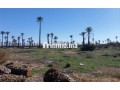 cinq-hectares-titre-small-0