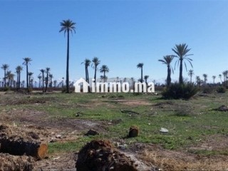 cinq-hectares-titre