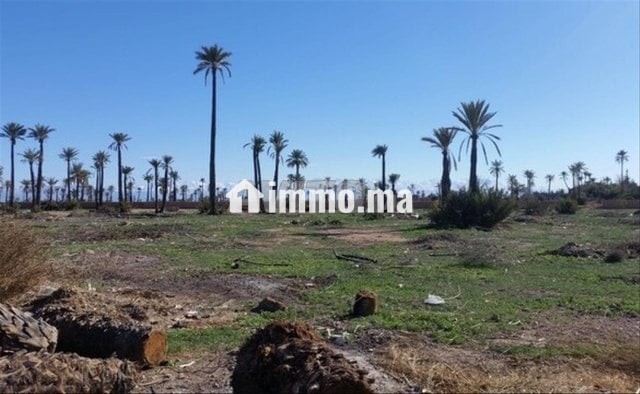 cinq-hectares-titre-big-0