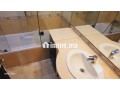 location-appt-vide-avec-terrasse-a-racine-small-14