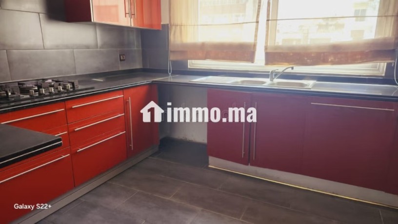 location-appt-vide-avec-terrasse-a-racine-big-9