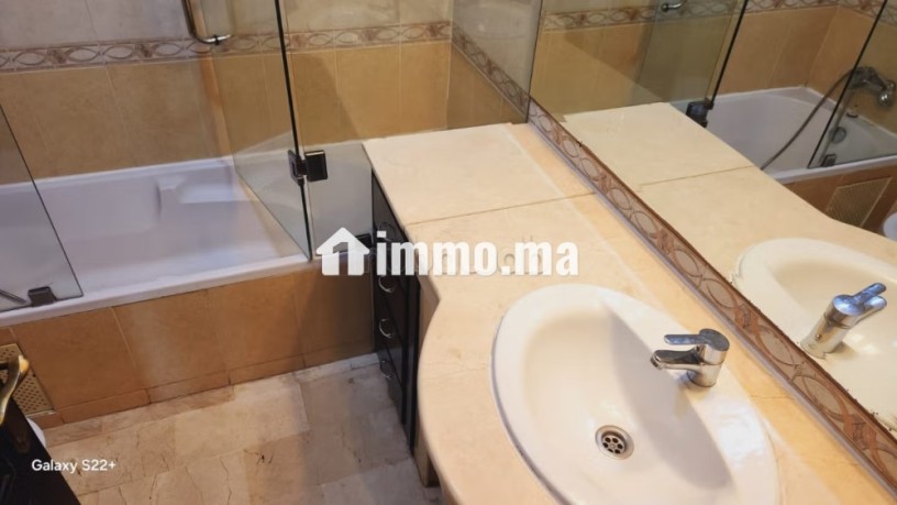 location-appt-vide-avec-terrasse-a-racine-big-14