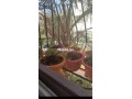 shk-mfrsh-llkraaa-bslaalhdyd-small-1
