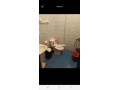 apparemment-calme-small-3