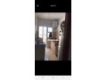 apparemment-calme-small-4