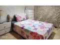 location-appart-meuble-avec-terrasse-a-racine-small-10