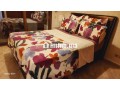 location-appart-meuble-avec-terrasse-a-racine-small-11