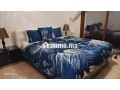 location-appart-meuble-avec-terrasse-a-racine-small-8