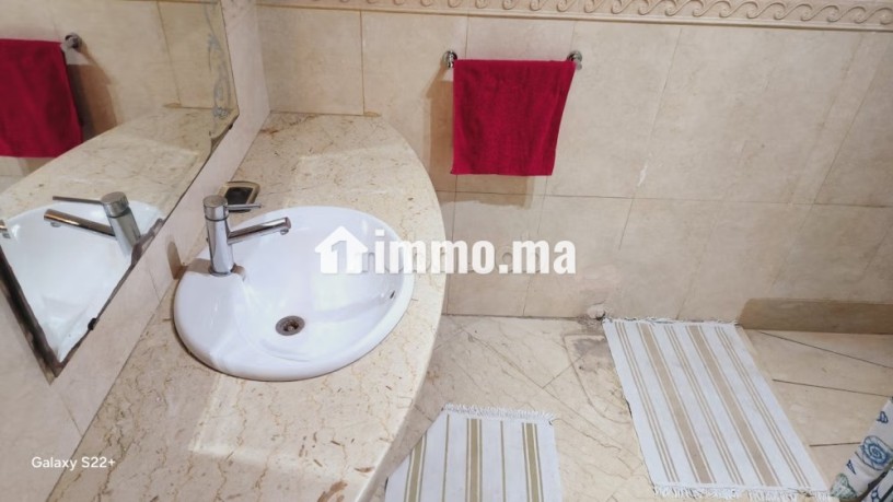location-appart-meuble-avec-terrasse-a-racine-big-9