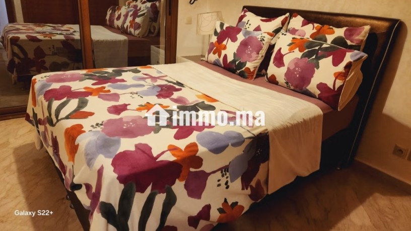location-appart-meuble-avec-terrasse-a-racine-big-11