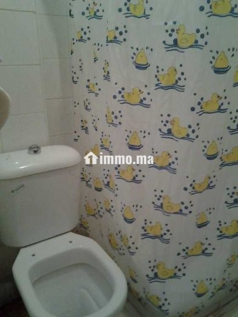 appartement-tres-calme-a-loue-big-4