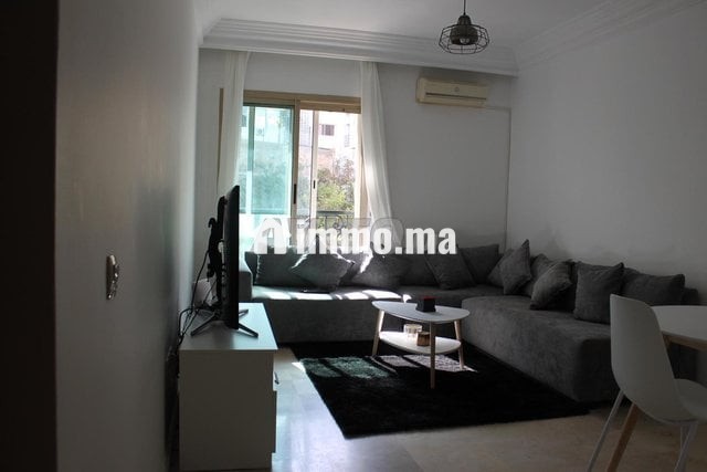 racine-1-chambre-salon-moderne-et-ensoleille-big-0