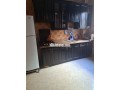 appartement-a-louer-pres-du-carrefour-centre-small-3